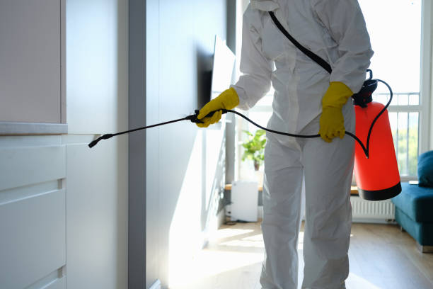Best Residential Mold Removal  in Milwaukie, OR