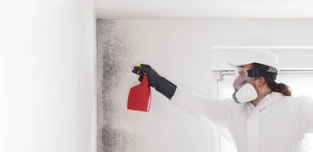 Best Commercial Mold Removal  in Milwaukie, OR