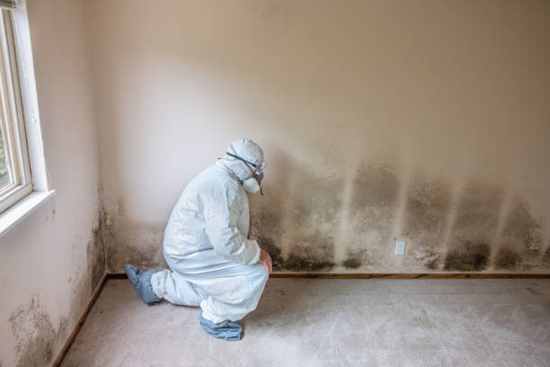Mold Testing and Removal in Milwaukie, OR