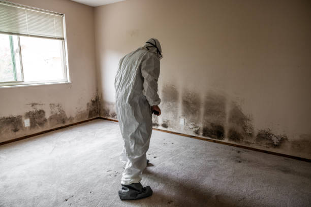 Best Mold Removal Process  in Milwaukie, OR
