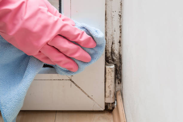 Best Mold Cleaning Services  in Milwaukie, OR